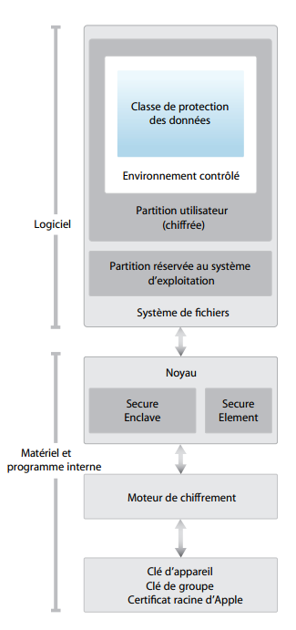schema